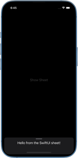 Screenshot of an iPhone with a sheet presented in a very small detent just wrapping the text inside